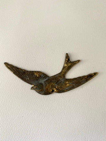 swallow.jpg