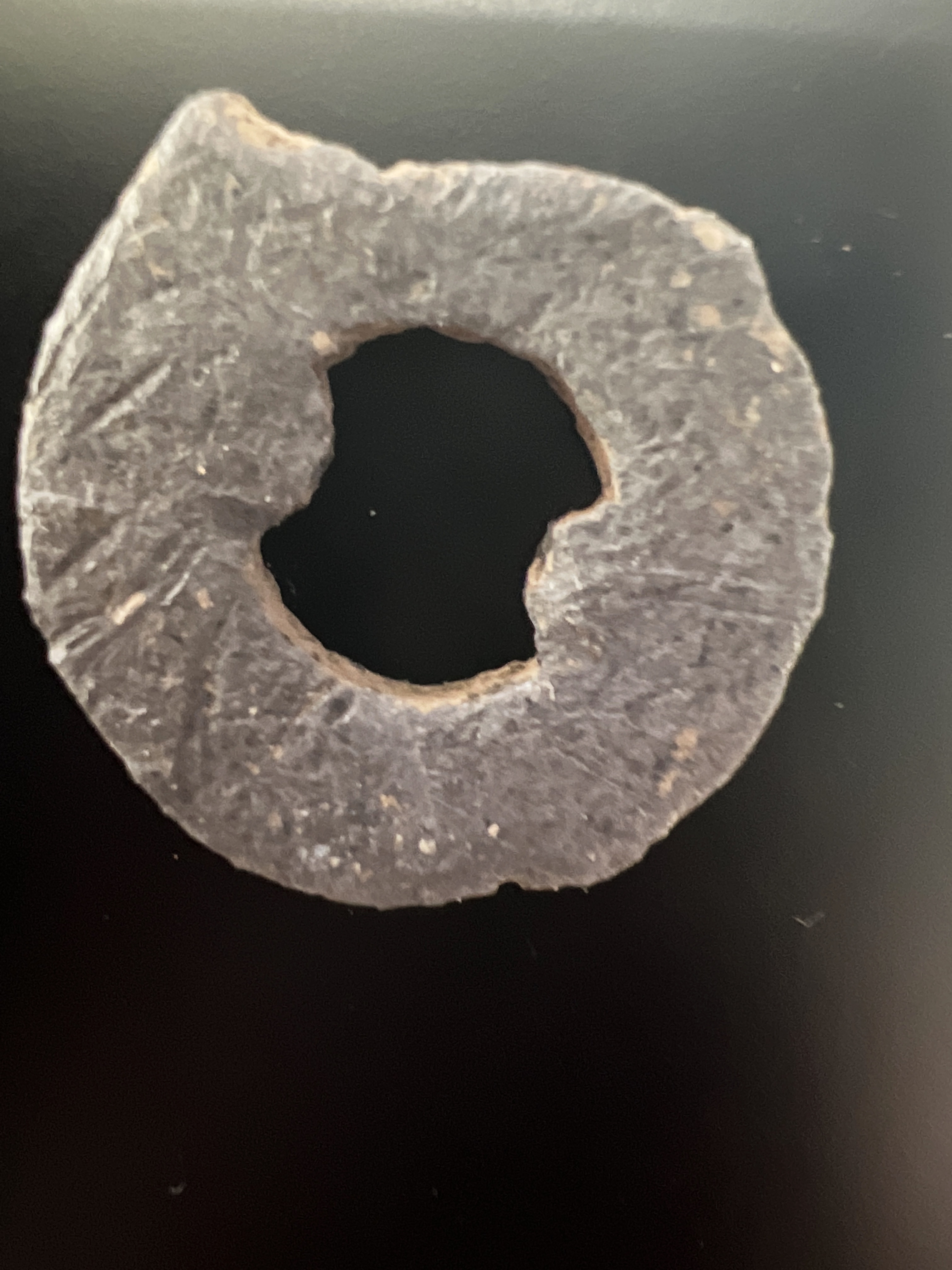 tempImageL1Vx21.jpg