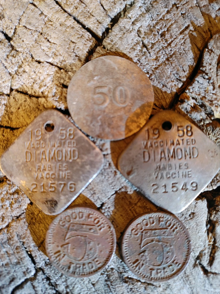 TokensAndDogTags.jpg