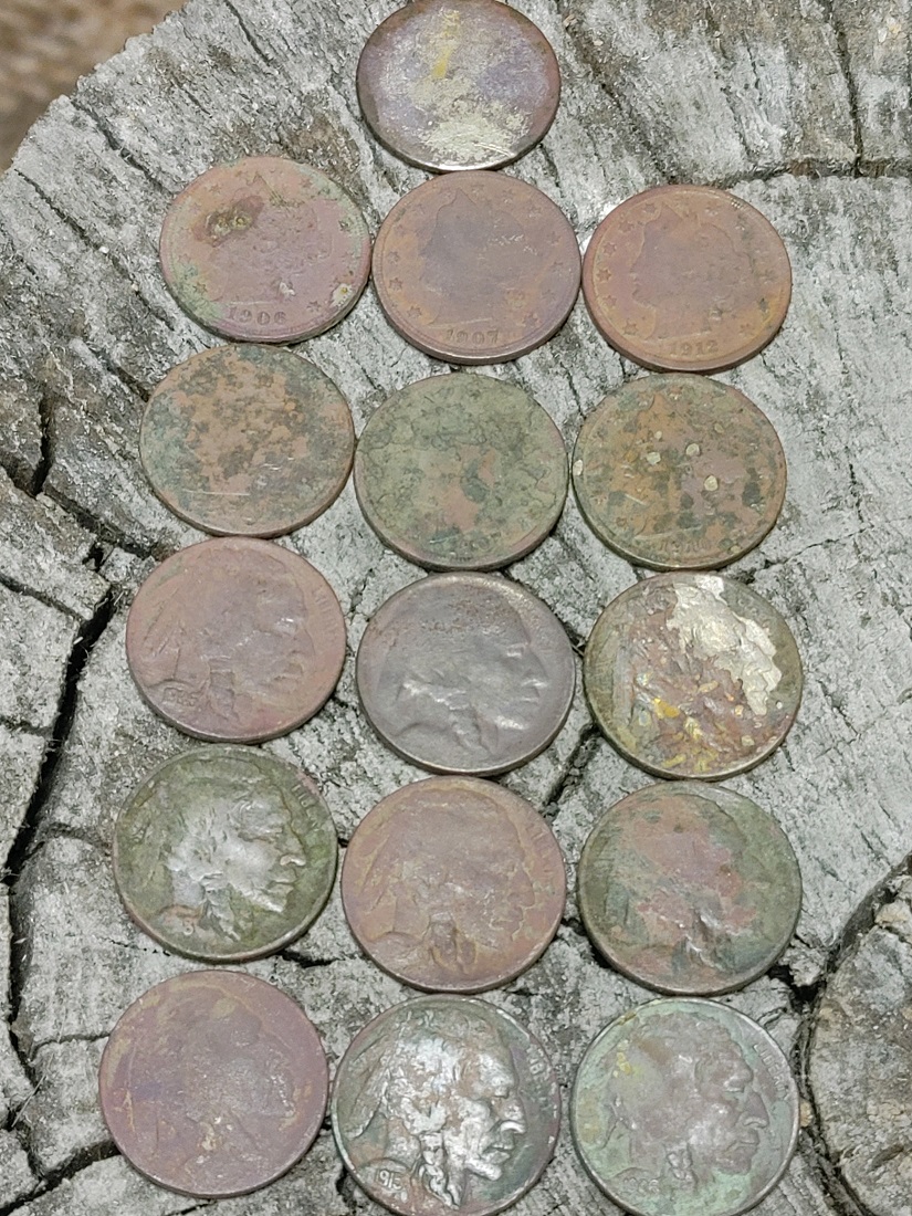 VandBuffaloNickels.jpg