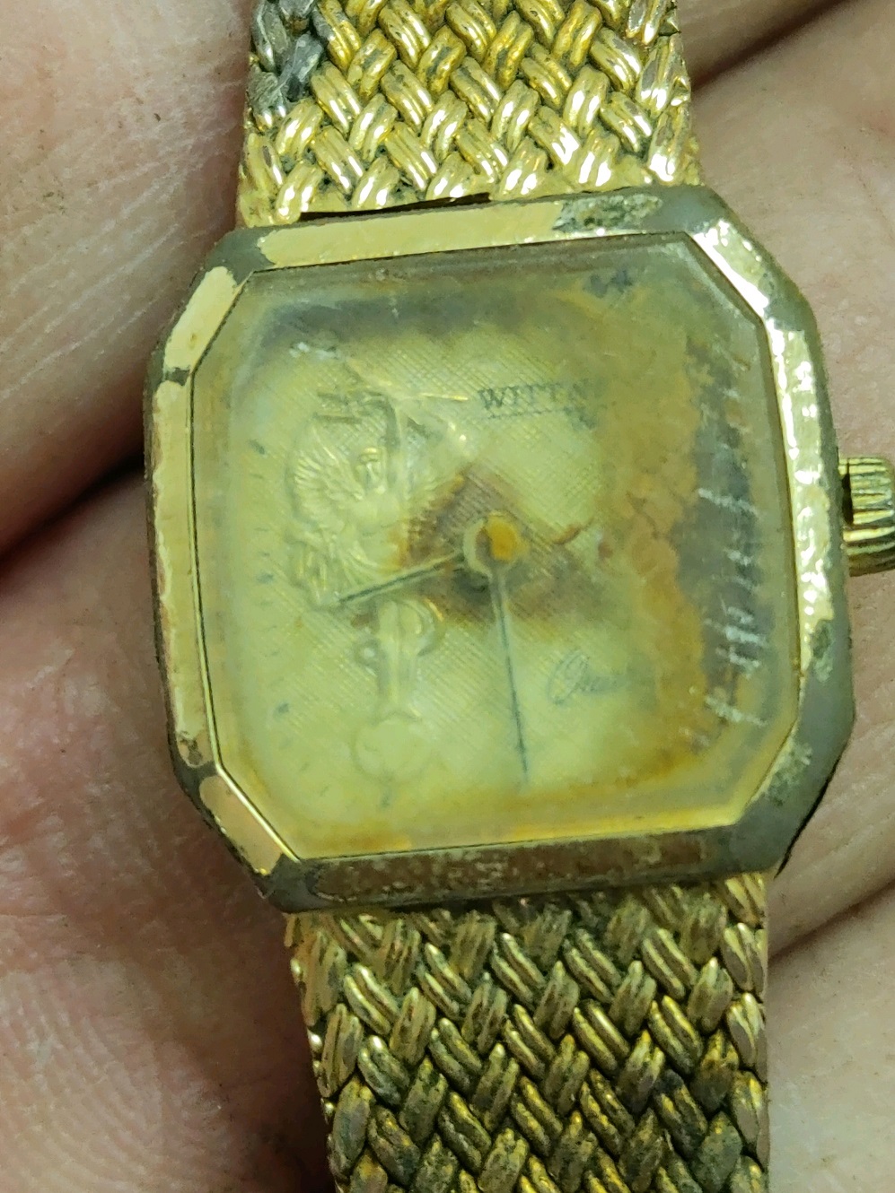 WomensWatch.jpg