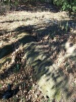 wagon_ruts_480x640.jpg wagon_ruts_480x640.jpg