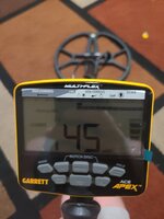 For Sale Garrett Apex wireless package  w/2 coils like new