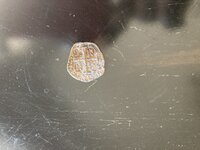 IMG_0997.JPG