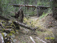 34F005DE-FEDF-4AD2-87D8-F620371C55F1.jpeg