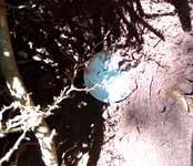 p1.jpg p1.jpg