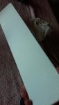 20200624_160909.jpg
