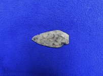 DSCN9407.JPG