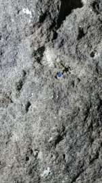 CM201013-211026009.jpg