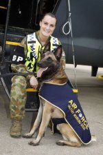 cc9c4aefccb0139ef037ea1524e34f96--military-army-military-dogs.jpg