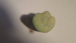 IMAGE 1.JPG