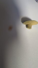 IMAGE 3.JPG
