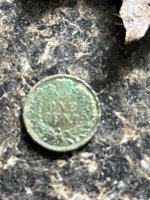 IMG_4156.jpeg