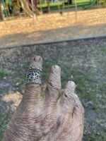 IMG_0949.jpeg