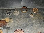20200730_234339.jpg