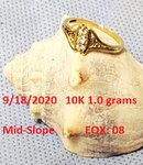 DocBeav 2020 Gold Ring #7.jpg