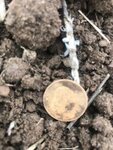 front coin hole.jpeg front coin hole.jpeg