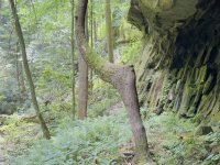 IMG_2499.jpeg