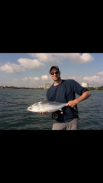 IMG_1017.png