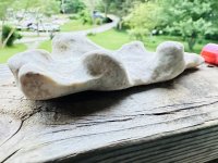 IMG_5049.jpeg