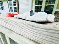 IMG_5050.jpeg
