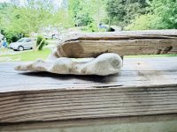 IMG_5053.jpeg