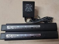 FS...2 Non-Working Minelab FBS Battery packs
