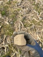 IMG_1253.jpeg