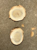 IMG_4738.jpeg