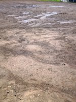 Bare Ground.jpg