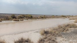 20250714_094931.jpg