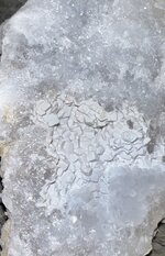 IMG_1829.jpeg
