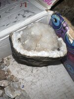 IMG_1703.jpeg