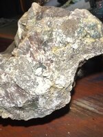 IMG_1613.jpeg