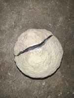 IMG_1453.jpeg
