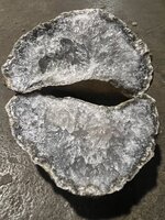 IMG_1456.jpeg