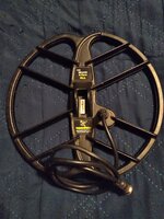 20250809_065730.jpg