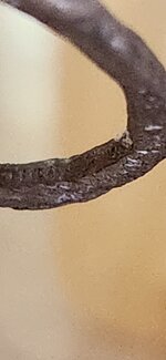 20250818_173923.jpg