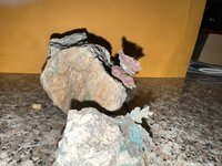 IMG_1175.JPEG