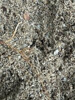 Erring in ground.jpeg