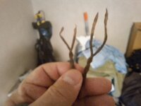 20250905_135913.jpg