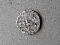 thumbnail (8).jpg