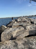 IMG_1335.jpeg