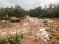 IMG_3558.jpeg
