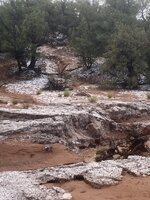 IMG_3559.jpeg