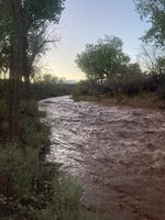 IMG_3567.jpeg