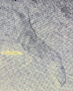 Screenshot_20251008-002027.jpg