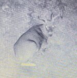 Screenshot_20251008-001958.jpg