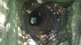 20170903_132148.jpg 20170903_132148.jpg