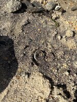 IMG_1799.jpeg
